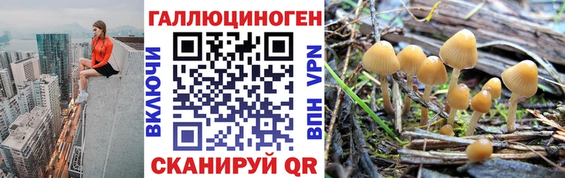 Купить закладки  Купино  Псилоцибиновые грибы ЛСД 